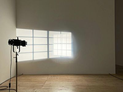 Sunlight streaming into a clean and empty yoga studio.